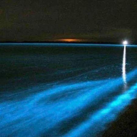 Knus Vakantiehuis 100M Van Het Strand คัลลันท์สโอก ภายนอก รูปภาพ