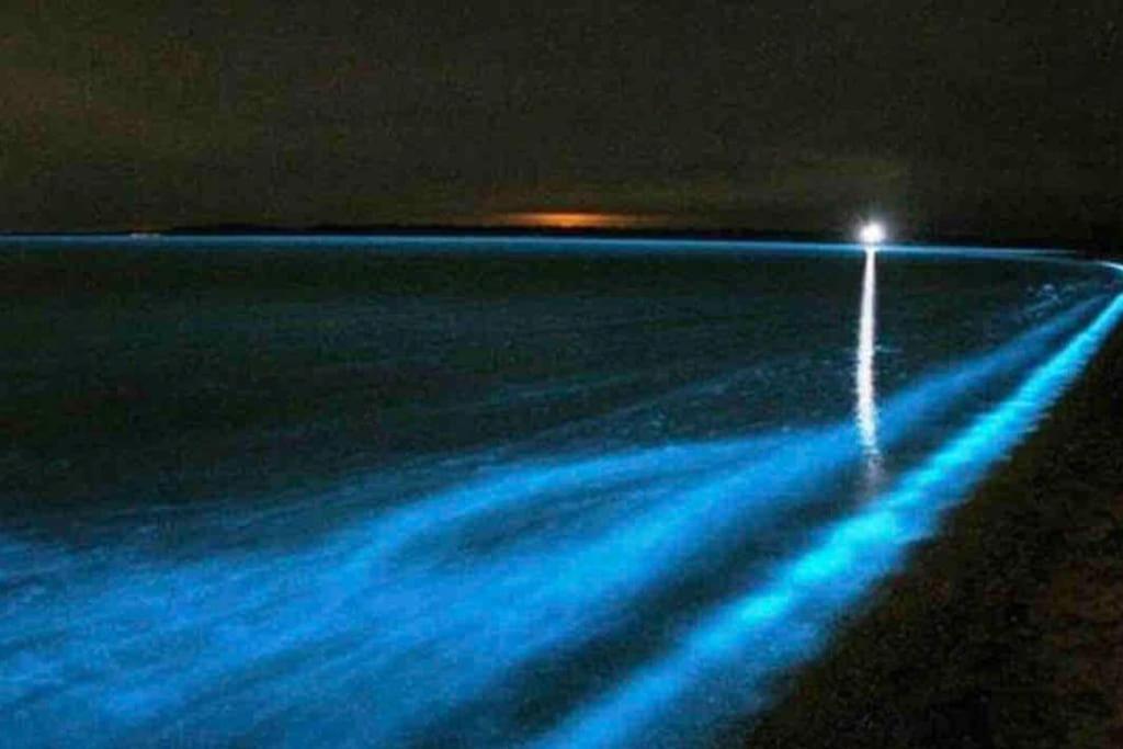 Knus Vakantiehuis 100M Van Het Strand คัลลันท์สโอก ภายนอก รูปภาพ